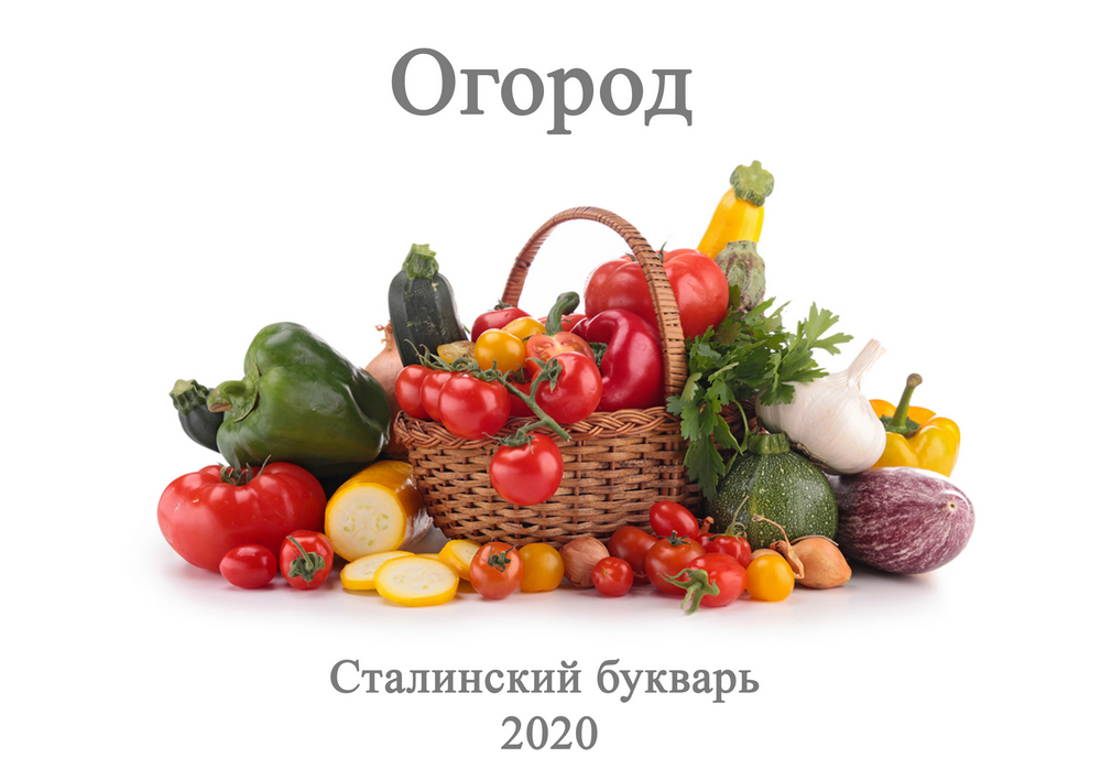 Чтение - Сталинский букварь - Пособие. Огород - 2020_1p.jpg
