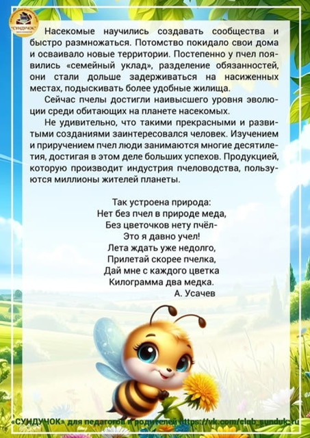 https://i8.imageban.ru/out/2026/05/20/8bb7340f966f1b4378d35c65581d89f9.jpeg