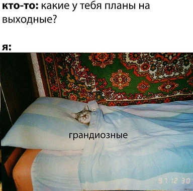 https://i8.imageban.ru/out/2026/05/22/538740c9511f6f2b784f43475ae8fd8d.png