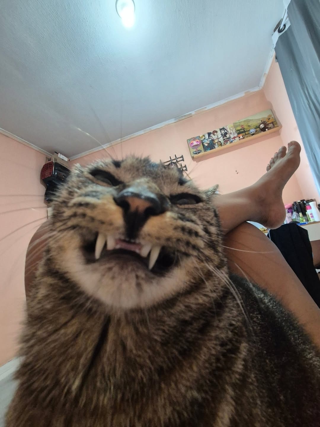aRXIoIx-z79yCVrXmvOiKCRxizUs6qPUPWi2RFHnVKkNYaqmlbkzleHW2I_glKLnSO2d6gWsou8bSfl7gUUyNFPZ.jpg