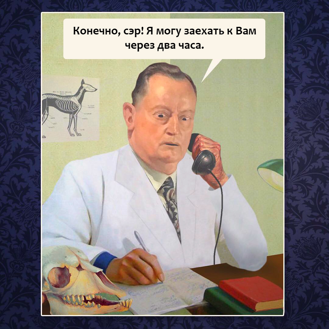 C5.jpg