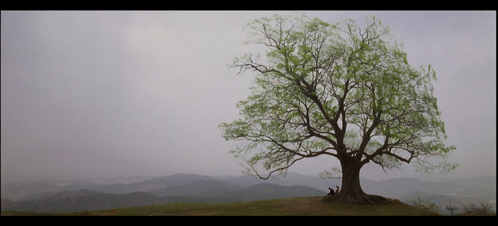 vlcsnap-2026-05-28-14h22m24s149.png