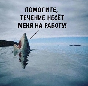 https://i8.imageban.ru/out/2026/05/29/9a555803a5ae600b32271f6c14a1c257.jpg