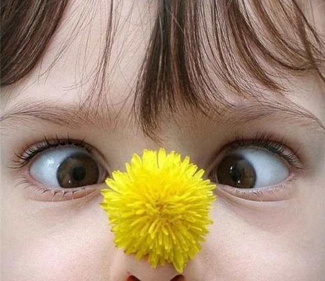 https://i8.imageban.ru/out/2026/05/30/7930a96e0a19e100c2c0798c5f6b9767.jpeg