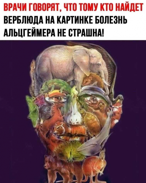 https://i8.imageban.ru/out/2026/05/31/163eeda9317da4c7c751c9af8c1412e2.png