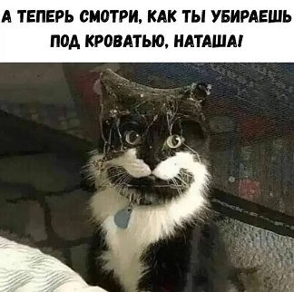 https://i8.imageban.ru/out/2026/06/02/4bf4994a93bc8099fc750a1bd42236fa.jpg