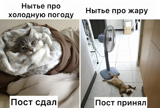 https://i8.imageban.ru/out/2026/06/02/da33dbd9608c0420195662ec67833397.jpg