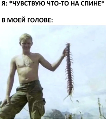 https://i8.imageban.ru/out/2026/06/06/c477d434d3483e06acdfd891eafd6182.png