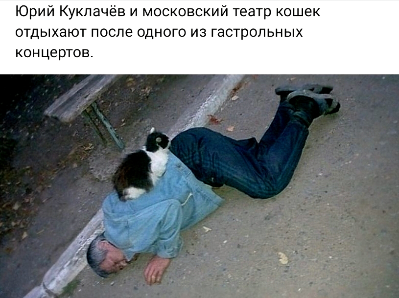 Скриншот 08-06-2026 002740.jpg