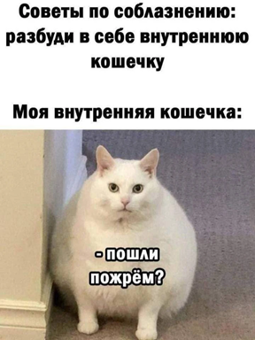 https://i8.imageban.ru/out/2026/06/10/f1560b973dff493abd4f74d3b576f960.png