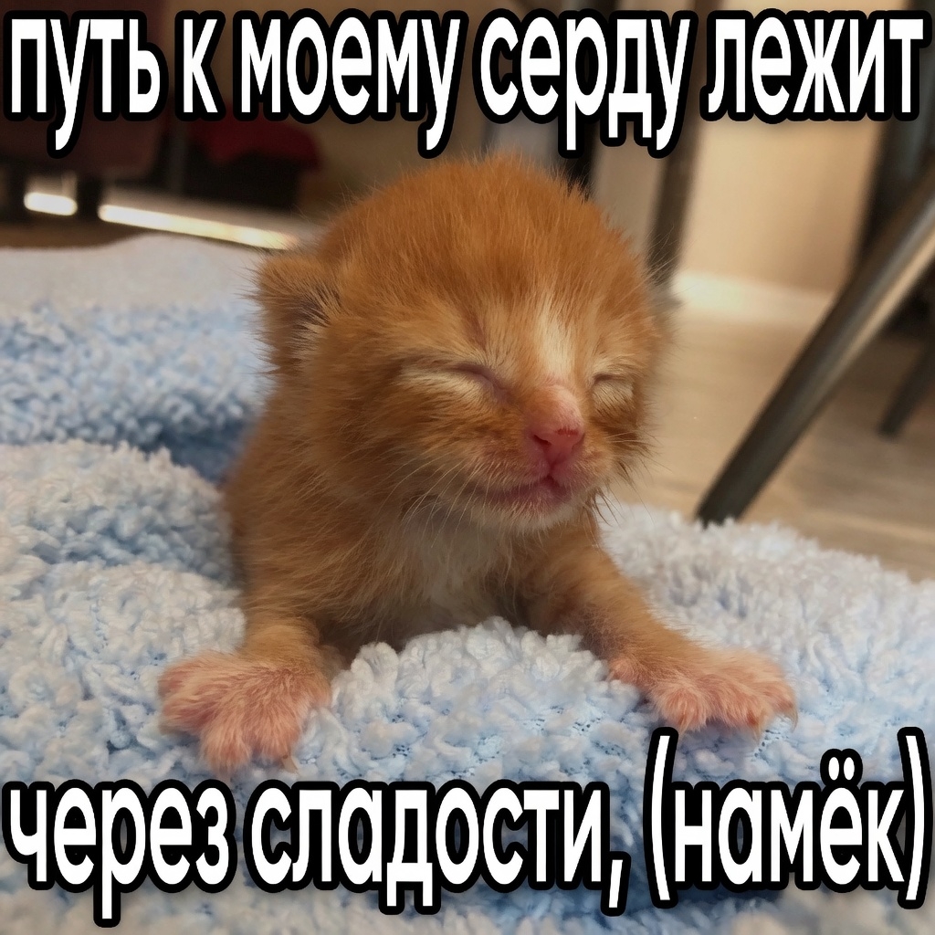 п3c9p7OoBi2zPkYT3PgH8UHGNZocYDvLoxKT4ECpn1DJYwpUk8kjRhq0khnLL9LzWe53eq9gwhjV0aWi2lp6clVdO.jpg