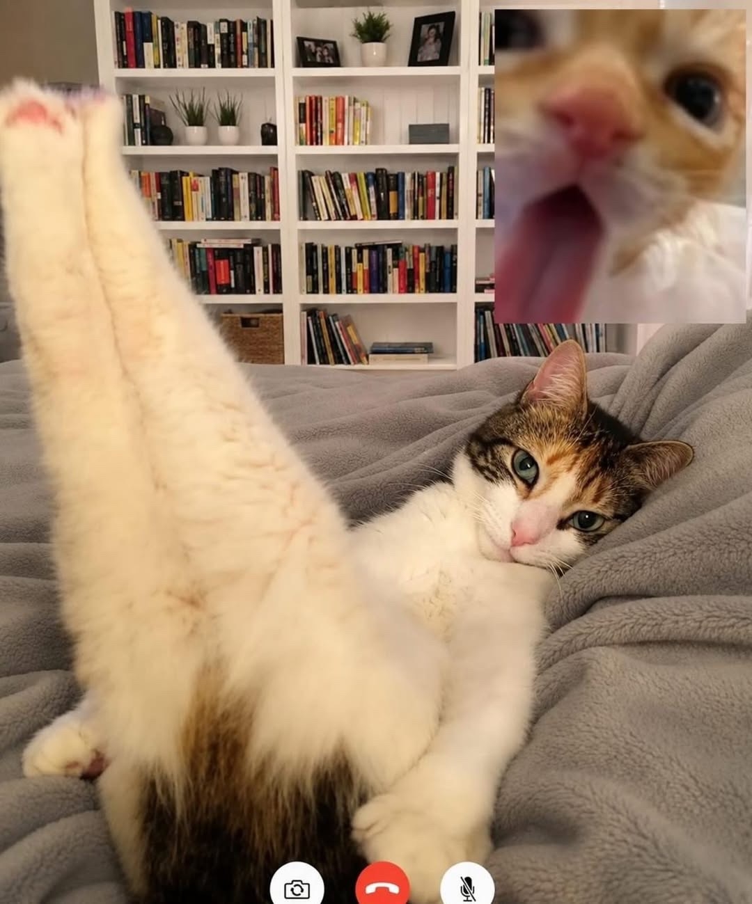 qQvJeBwuWFlY-EkrYLh_AKlNGhknqgdo0fZxgjYYq92uRNfkZeH6gssG1ehAfRxvOZg_KzVu1Dtm3h1qfDj7Q.jpg