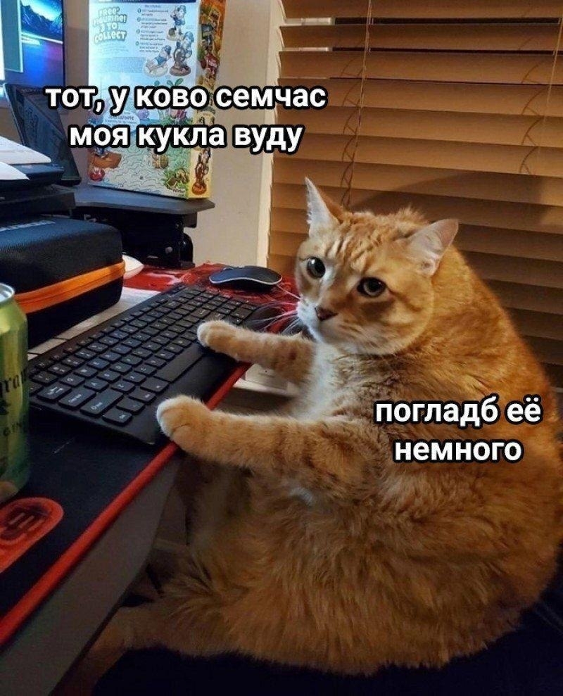 пZ0oTCitcH9zxWmjWKjLn.jpg