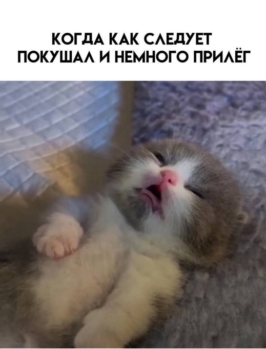 п-TBeK02vQKWhEUxkrlXvW4QKjen5qPH92VUPl72QvDF4dgJmstAPP3k71nfhc1w5x42EdLVwThyGJiKCLeHOE9ef.jpg
