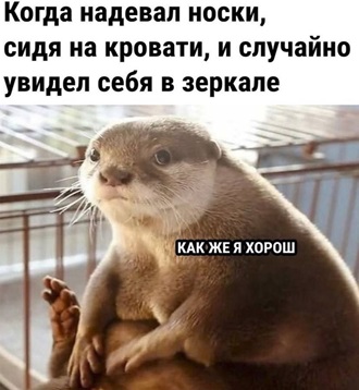 https://i8.imageban.ru/out/2026/06/13/8d7f1d62690949f109a9e8b84701cd58.jpg