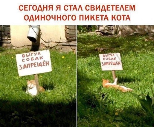 https://i8.imageban.ru/out/2026/06/15/87a13f3f2288cbb25d90e46ab71348f3.jpg