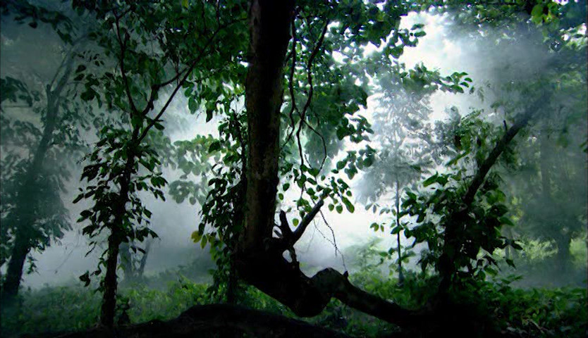 mpv-shot0098.jpg