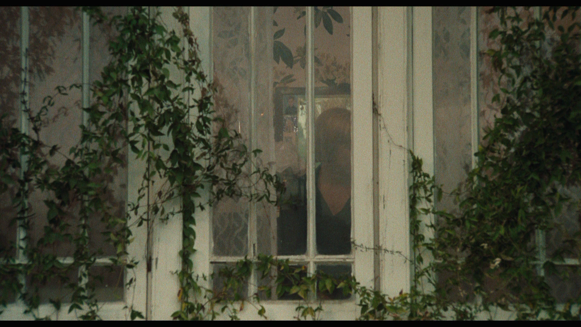 Alice.Doesn't.Live.Here.Anymore.1974.Criterion.BDRemux.1080p.mkv_20260704_121453.876.png