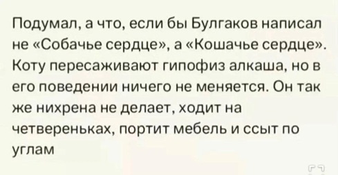 https://i8.imageban.ru/out/2026/07/05/c1f8b9300df383079a5d735380f3c454.jpg