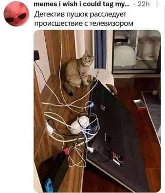 https://i8.imageban.ru/out/2026/07/06/90f932e126a7af84f748c28b39c3ede7.jpg