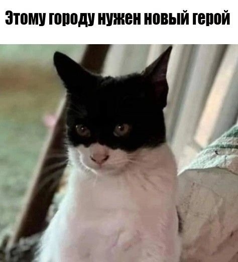 9z0HiZ5FUtw3z8aXBSZ-Fs_zk0D39T5u00zatdIFIvnG7jr8M_L4E7AKQhLDGuaZwst3XVaDK7tSZmYsvNLEEuQw.jpg