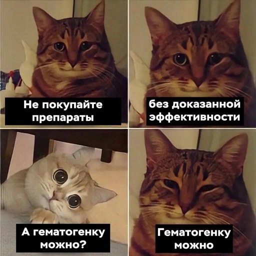 https://i8.imageban.ru/out/2026/07/12/eed3f124a53ce93e9409eb74e415220c.jpg