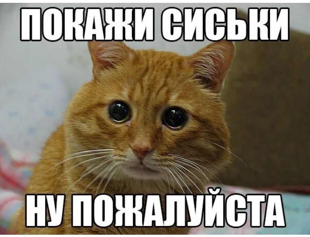 z1nbPVhGB5y17MT7MvS6z_d1-PY73y2RduK8SNn1-XTR1XQFZ7xQOdVIOs7ipqpEhbPjBkxYuIKuJofPcnk3diNn.jpg