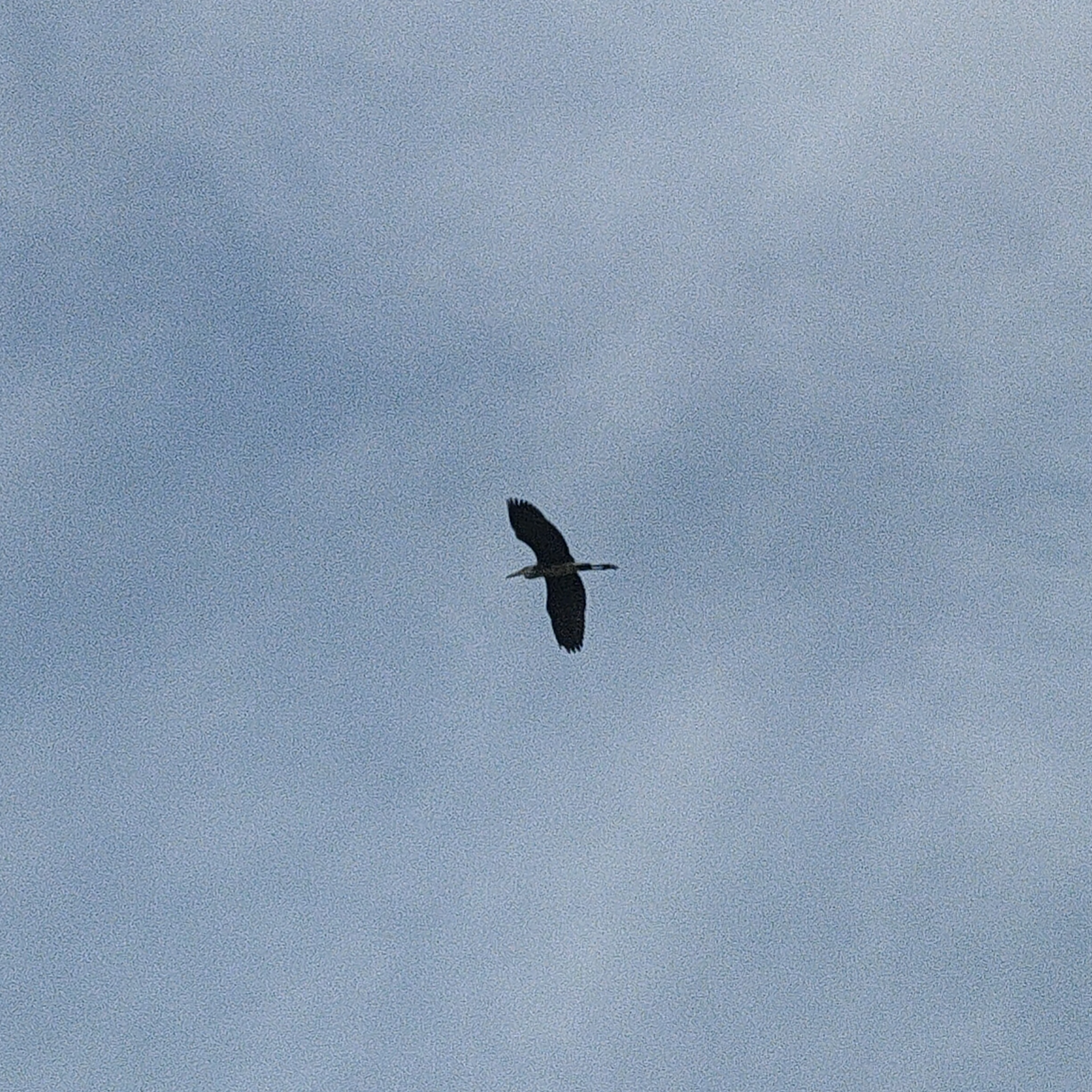 IMG20260725165255.jpg