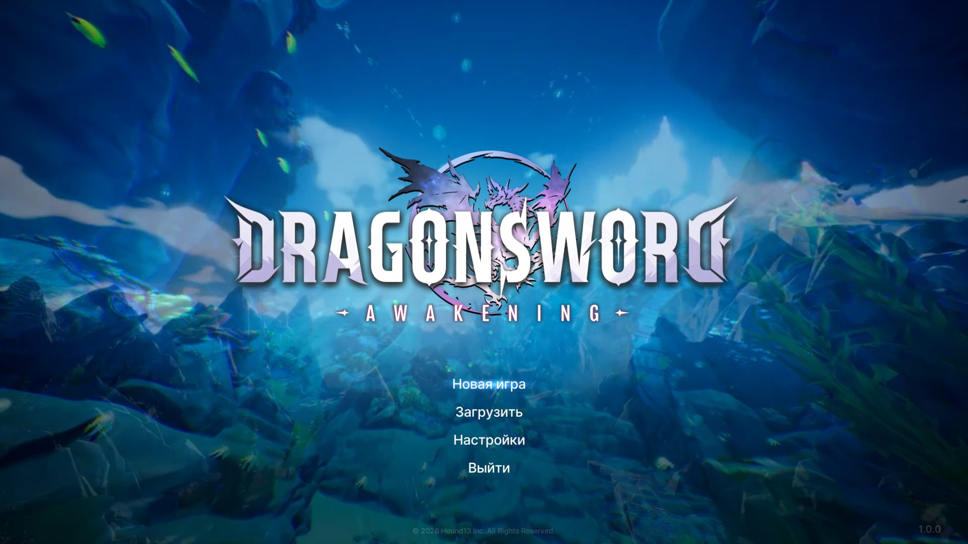 DSClient-Win64-Shipping_4345.png.jpg