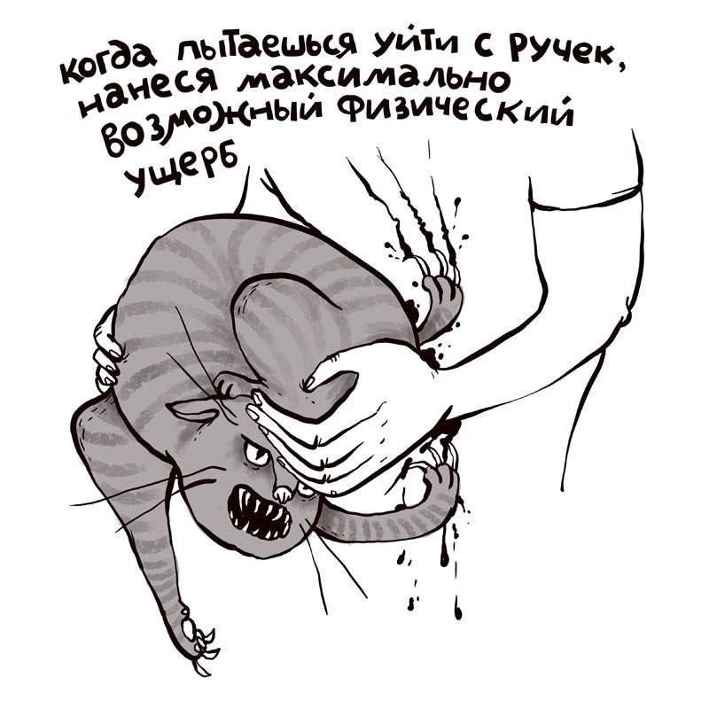 https://i8.imageban.ru/out/2026/07/30/1c85958284f4ed92411e26457d1df2e5.jpg