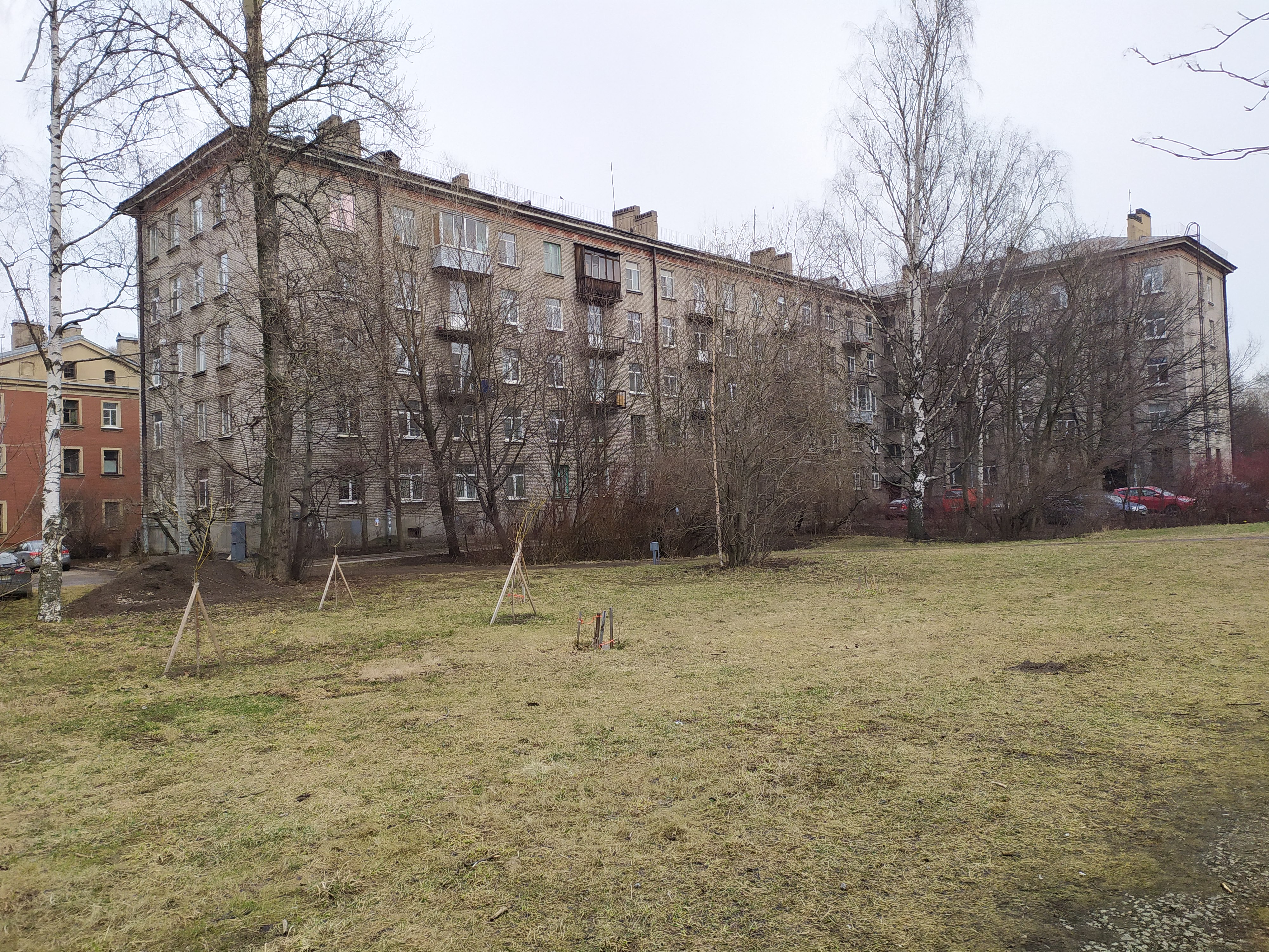 1-й Муринский 29_6.JPG