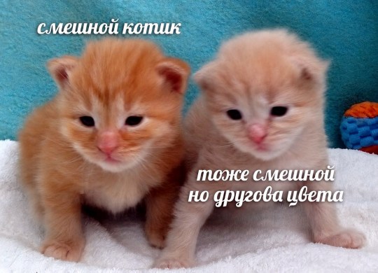 c7b5a76c-789f-4ee7-b7ef-799d652dbe7b.jpg