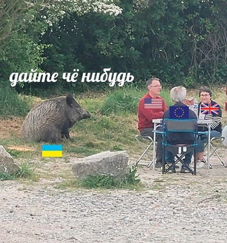 https://i8.imageban.ru/out/2026/08/08/423afea50049de4b210fd2c4d5956960.jpg