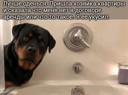 https://i8.imageban.ru/out/2026/08/14/9b947a84145589a43c44045aec52b607.jpg