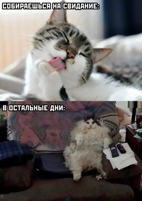 a-Xkx55TA3tkJQfpbXP-uOcVSneVbR956_WiFx3jM0Ed7UJTm10Acq_0voACuHN0HetBljYIUiu4UpLyPllDnK6t.jpg