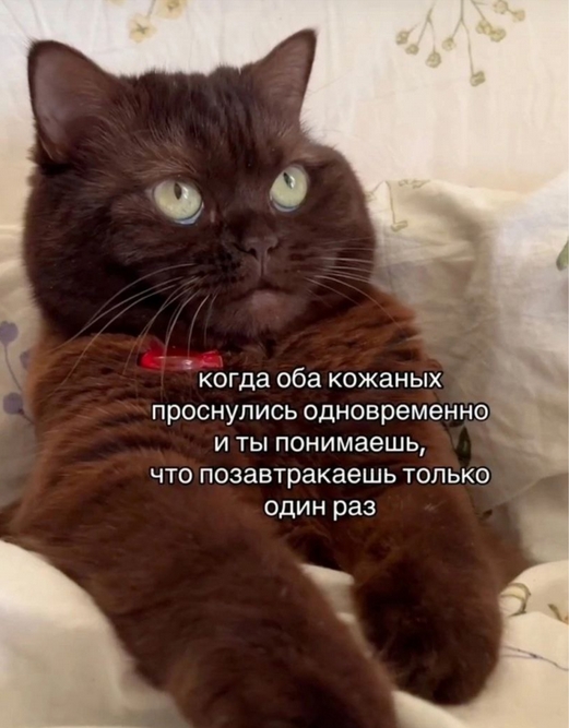 4tnJLVrhPQsc6tiAC9osHKgVo0MblKFUBc2uxS-q0sFoejfNT0QSzlG_bHIIzvNpl9xPrwxR45WKvwETnGhWpYSI.jpg