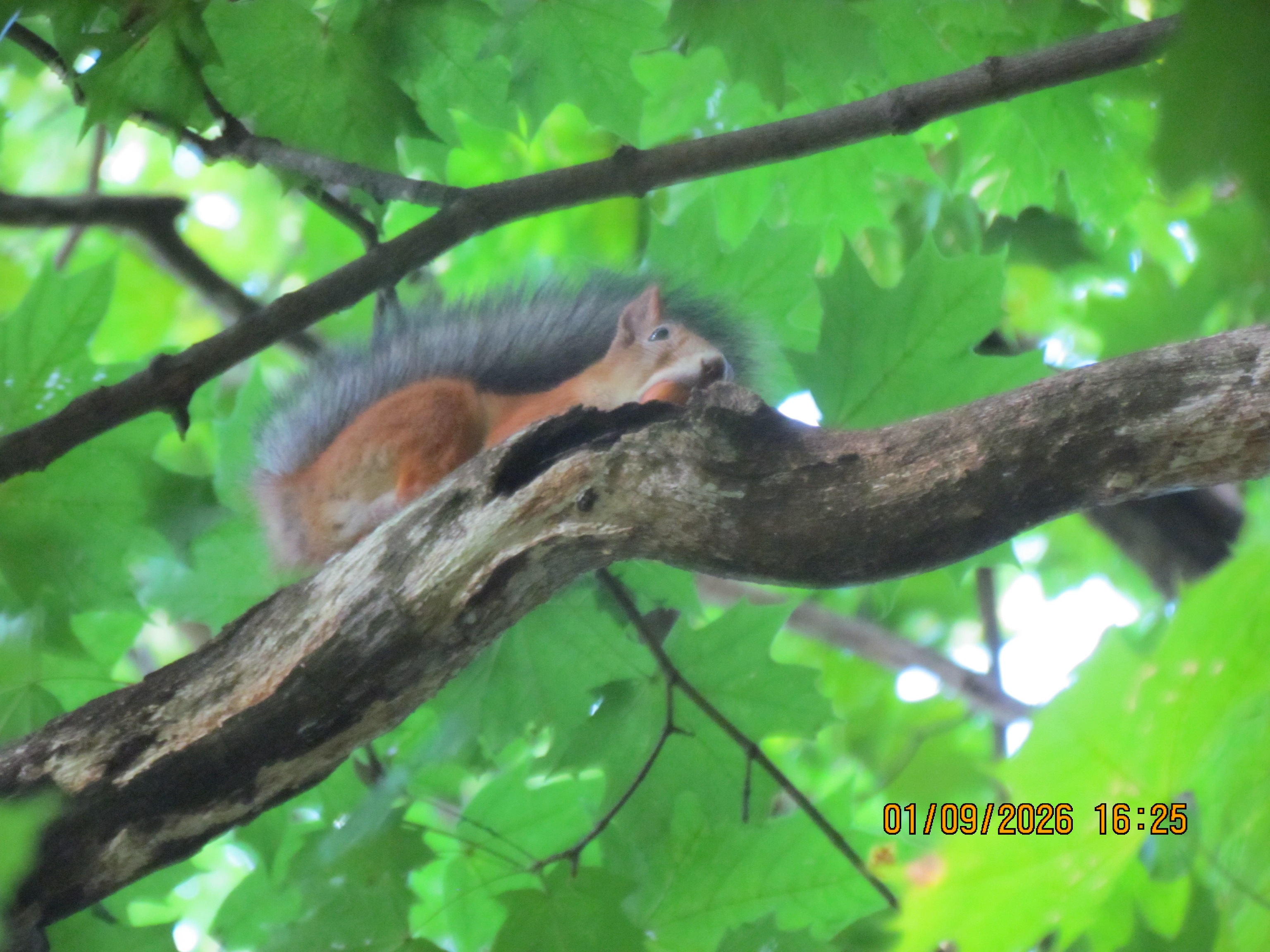 IMG_8004.JPG