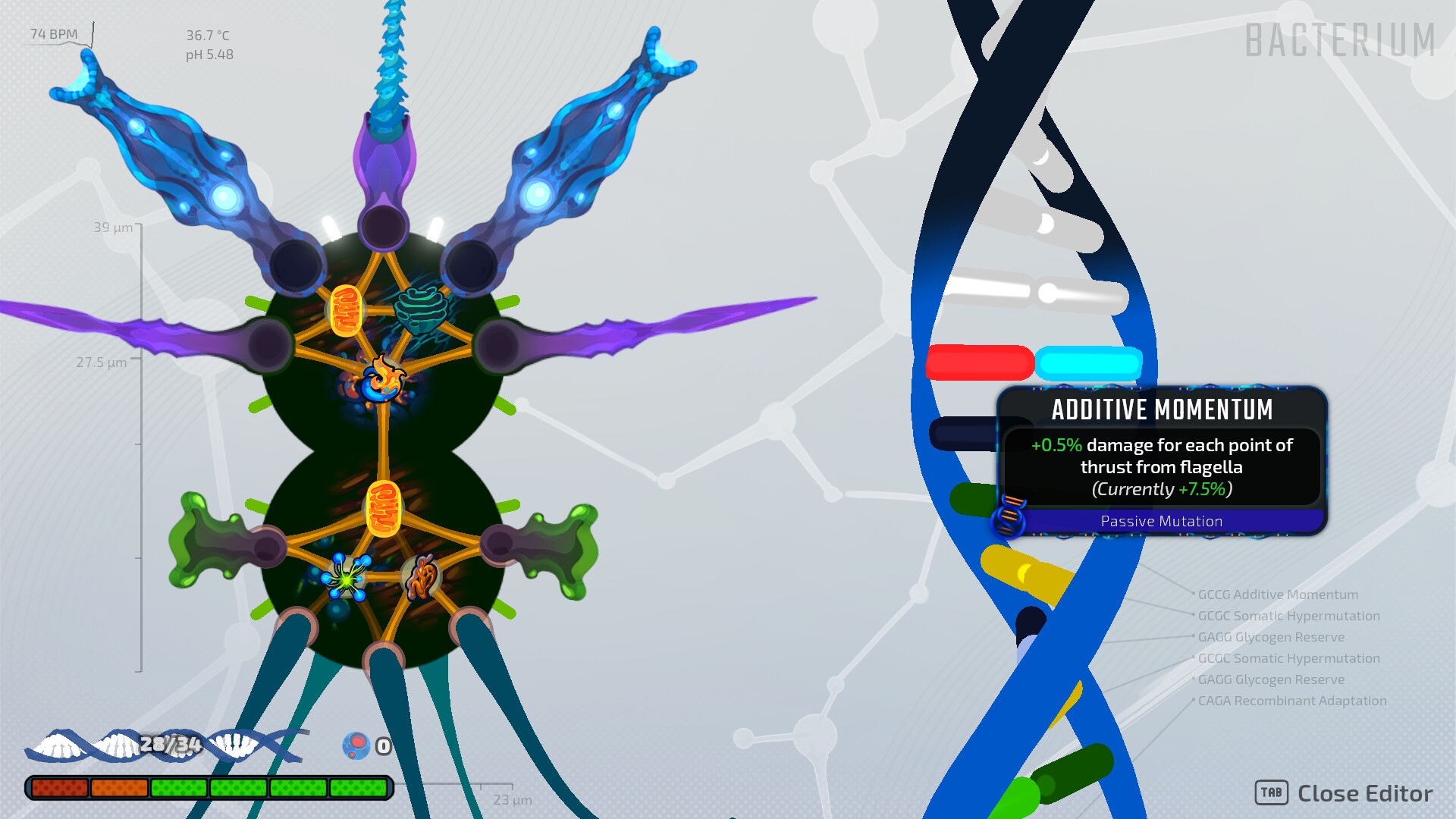 s002.jpg
