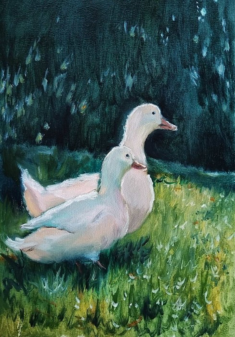 Летние гуси.jpg