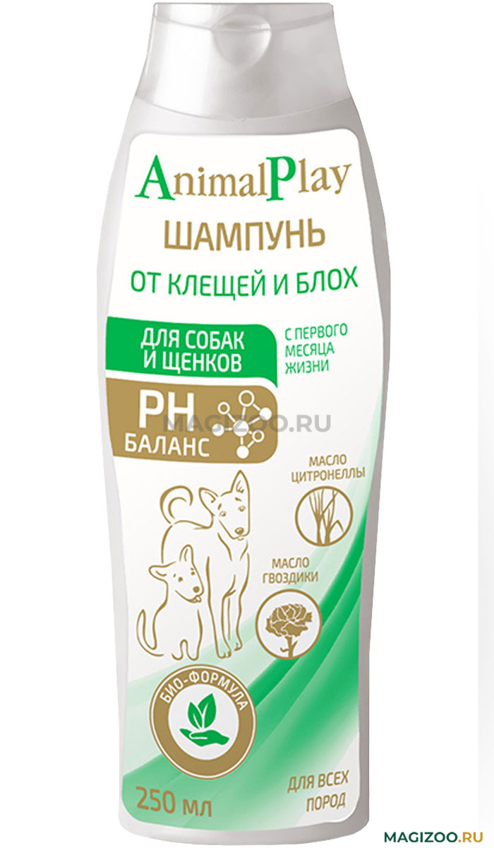 ANIMAL_PLAY_PUPPY_DOG_KLESHI_BLOHI_78295.jpg