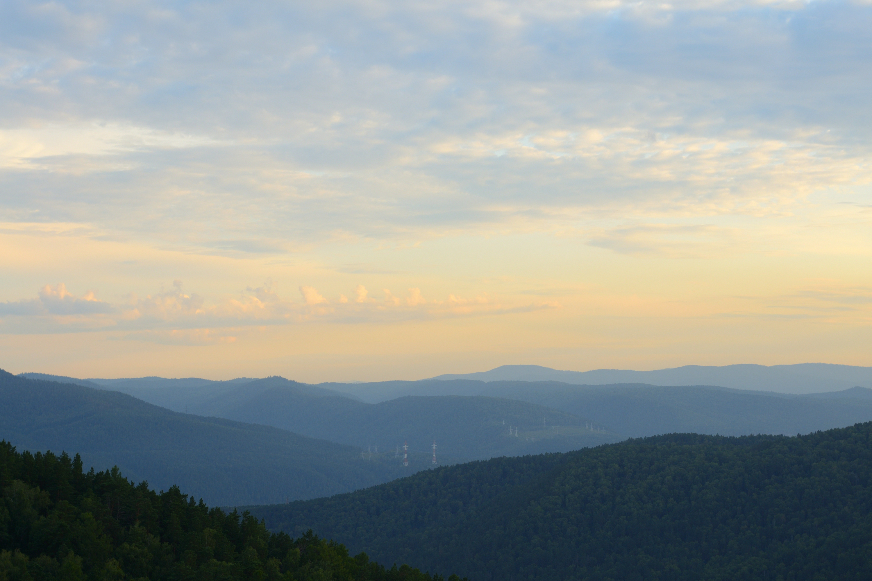 DSC_2248 2.JPG