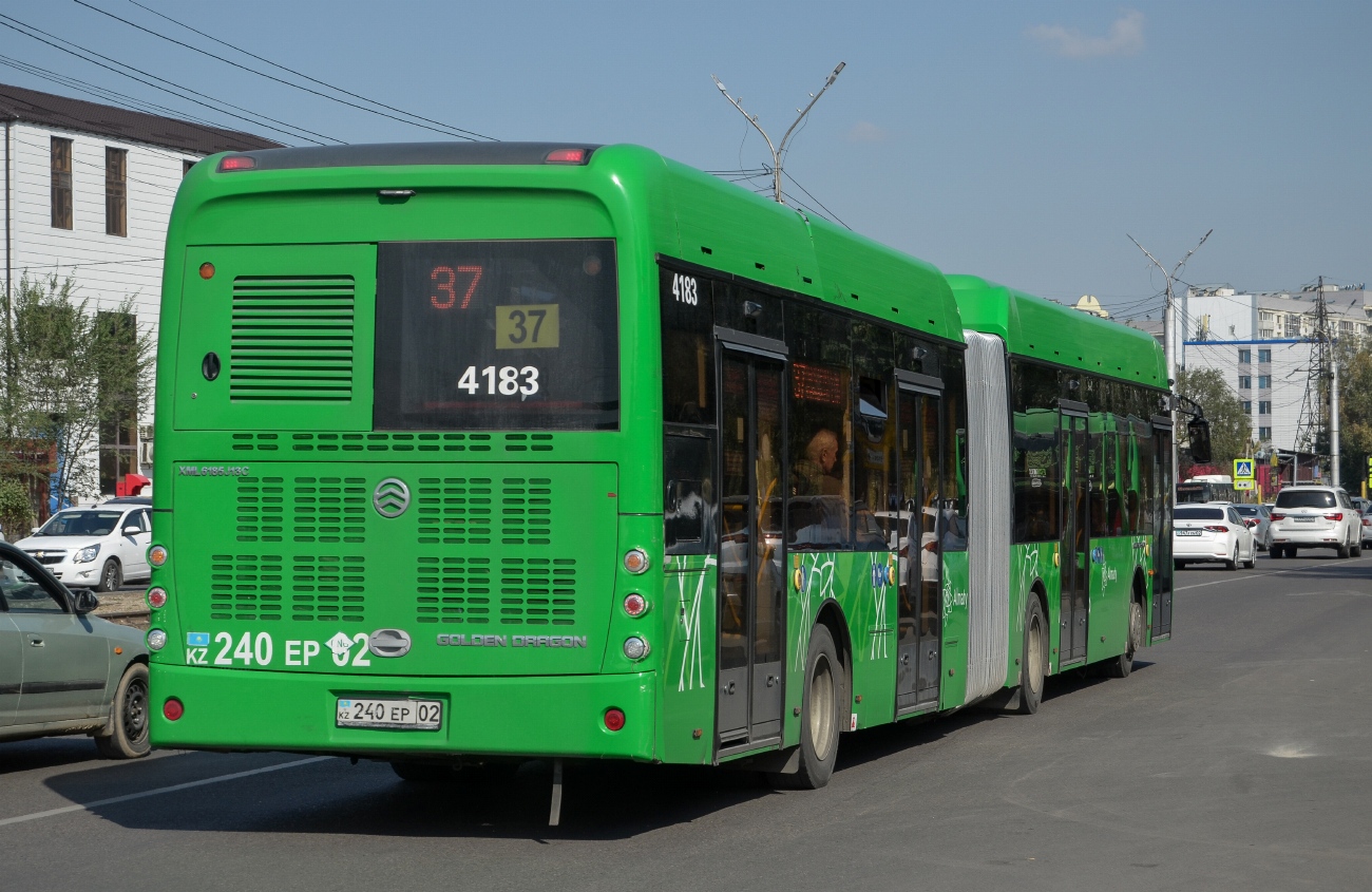 3678624.jpg