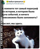 https://i8.imageban.ru/thumbs/2025.03.21/4da6a4403780c569454aa72901f1c7ff.jpg