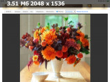 https://i8.imageban.ru/thumbs/2025.03.24/7fff30113c66155e1074af5d8699074d.png