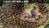 https://i8.imageban.ru/thumbs/2025.05.12/b1fe0396e1e3a646e0e0c7f065d2596d.webp