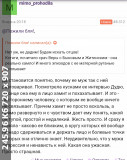 https://i8.imageban.ru/thumbs/2025.06.13/e0a9e0811eda693f54cbd1ed5dc32f6d.jpg