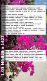 https://i8.imageban.ru/thumbs/2025.07.01/e611c6ebb29ed560776e41287cd0f206.jpeg