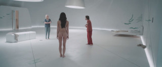 https://i8.imageban.ru/thumbs/2025.07.26/571efe6e2ea2680d407877518af1a2bc.jpg