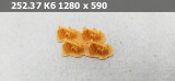 https://i8.imageban.ru/thumbs/2026.01.24/a92c441715d5891bc6012bc0fb3725a0.jpg