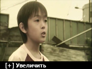 https//i8.imageban.ru/thumbs/2026.05.19/e6a6f47a200e836e44db9991ef.jpg